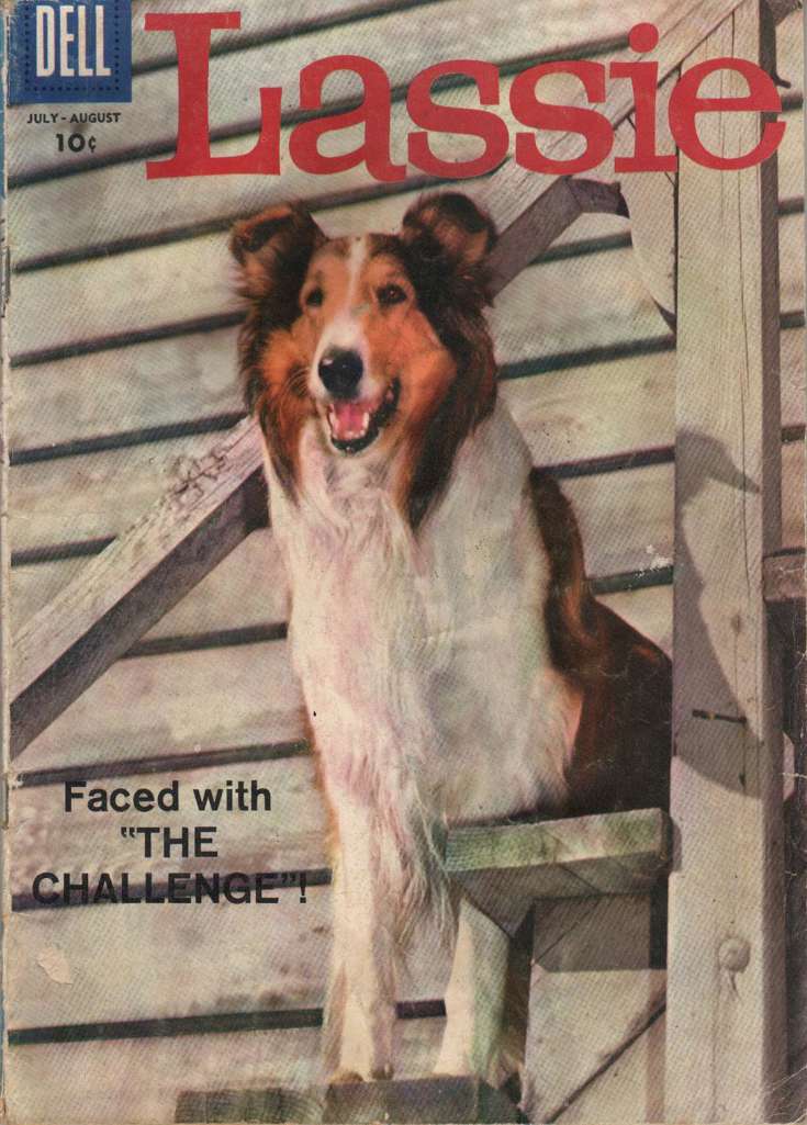 Lassie #41