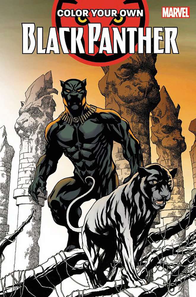 Color Your Own Black Panther #1