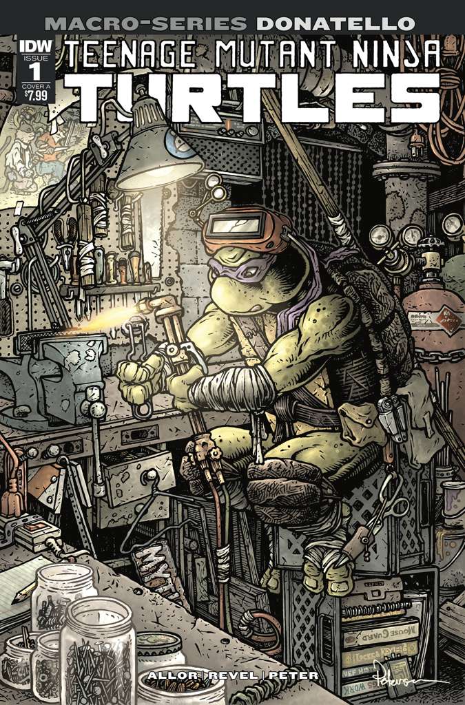 Teenage Mutant Ninja Turtles: Macroseries