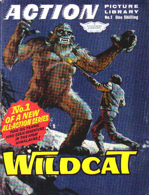 Action Picture Library