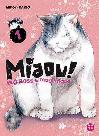 Miaou! Big-Boss le Magnifique