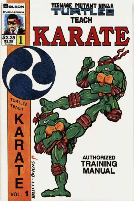 Teenage Mutant Ninja Turtles Teach Karate