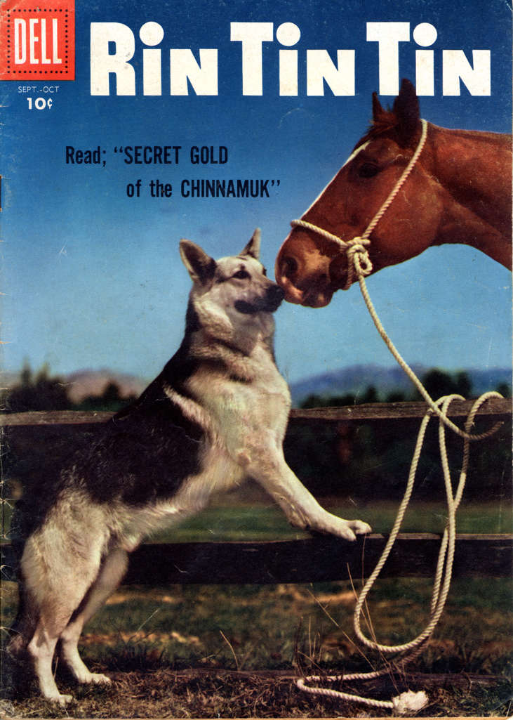 Rin Tin Tin #15