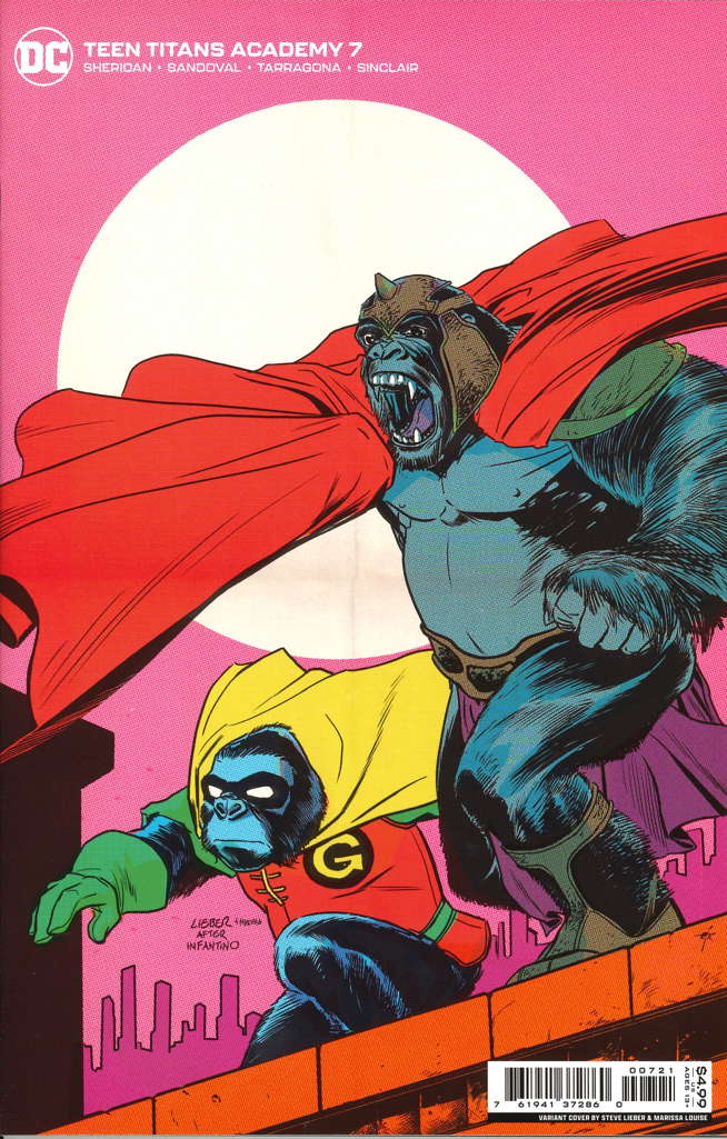 Teen Titans Academy #7 Variation A