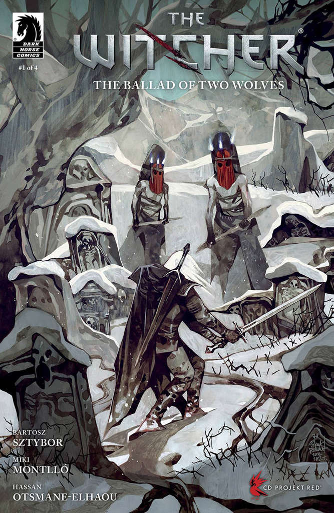 The Witcher: The Ballad of Two Wolves #1 Variation B