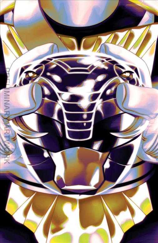 Mighty Morphin Power Rangers/Teenage Mutant Ninja Turtles II #2 Variation L