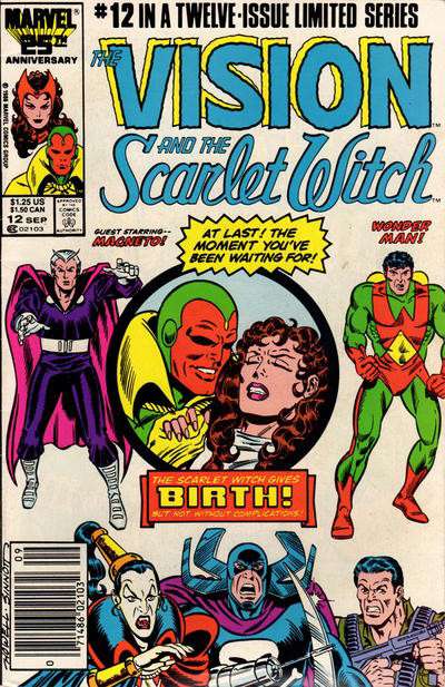 Vision & Scarlet Witch (Vol. 2) #12 Newsstand Edition