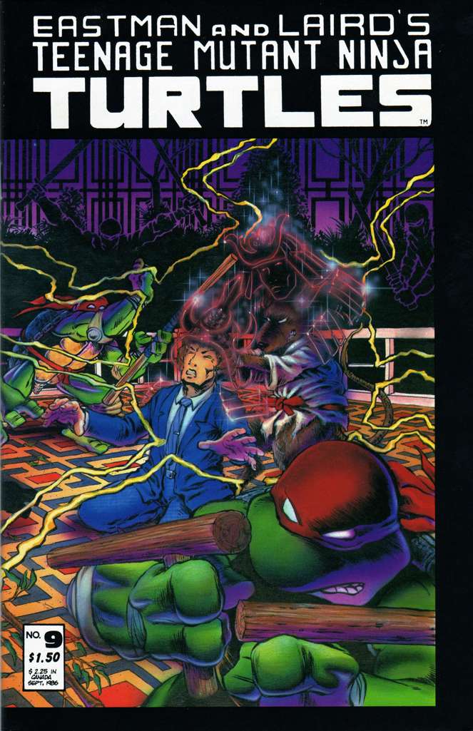 Teenage Mutant Ninja Turtles (1st Series) #9