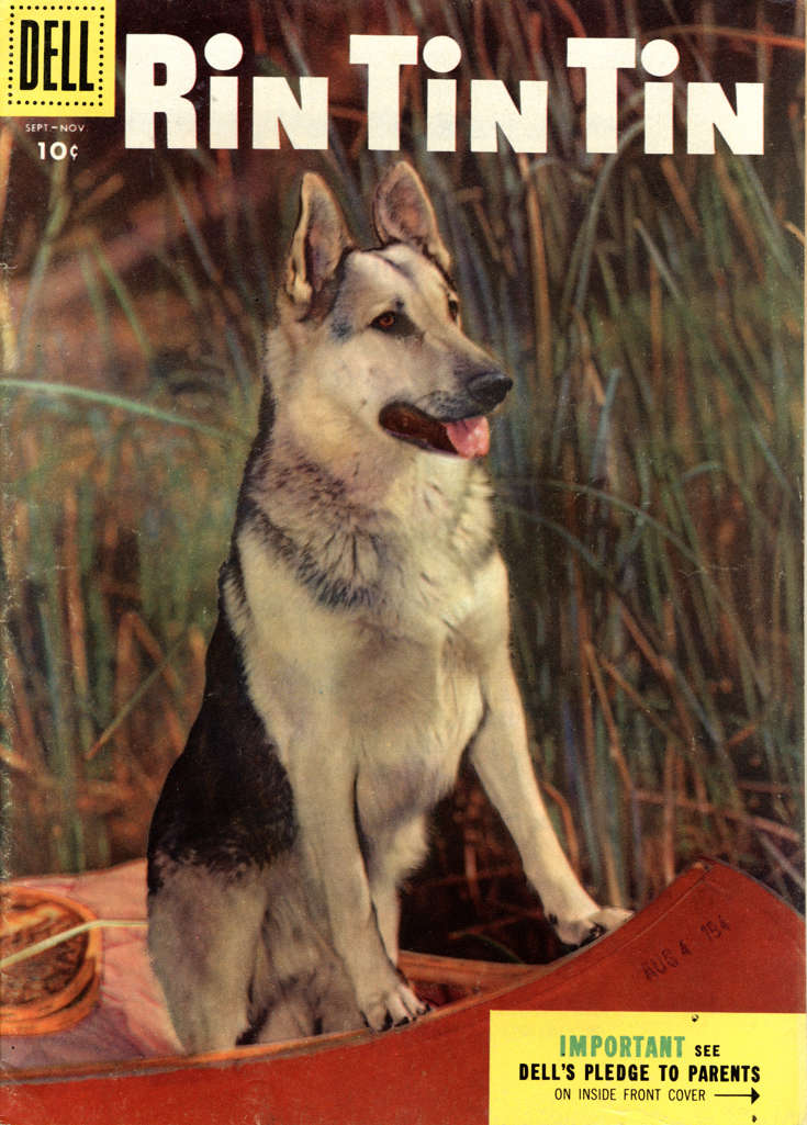 Rin Tin Tin #10