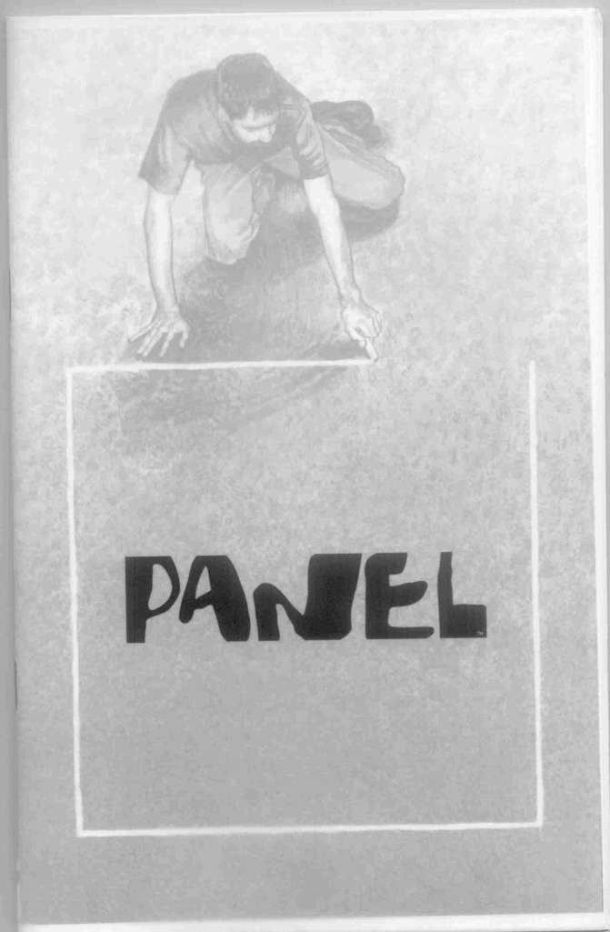 Panel