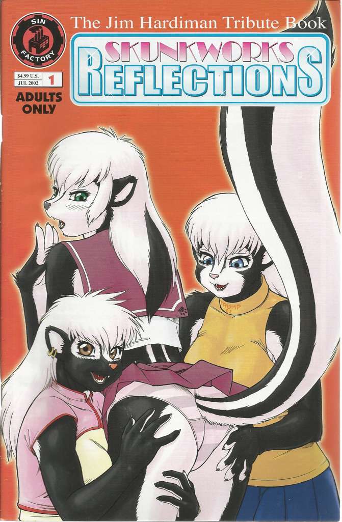 Skunkworks Reflections