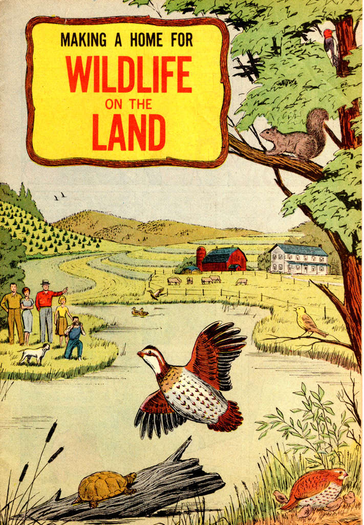 Making a Home for Wildlife on the Land