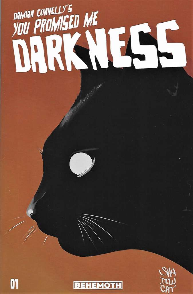You Promised Me Darkness #1 Variation F