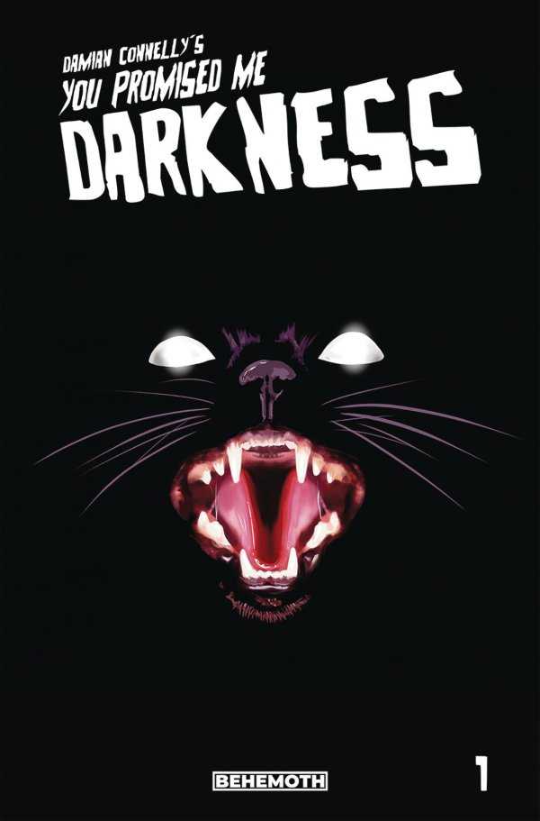 You Promised Me Darkness #1  - 3rd printing