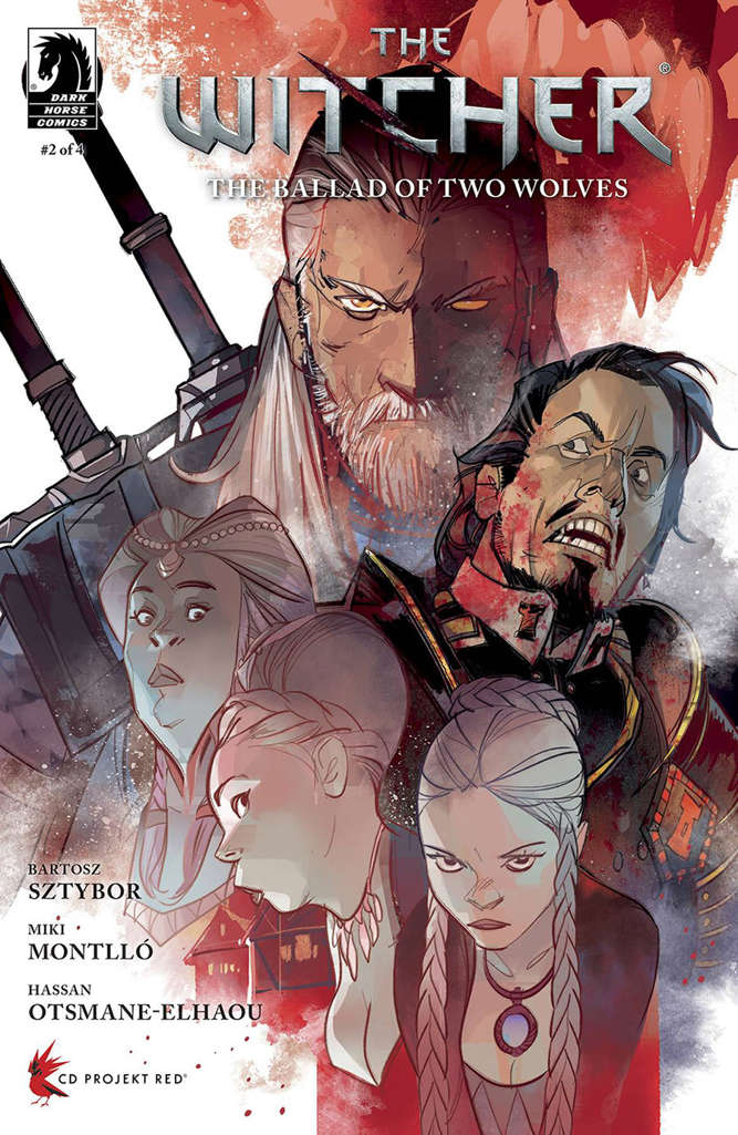 The Witcher: The Ballad of Two Wolves #2 Variation C