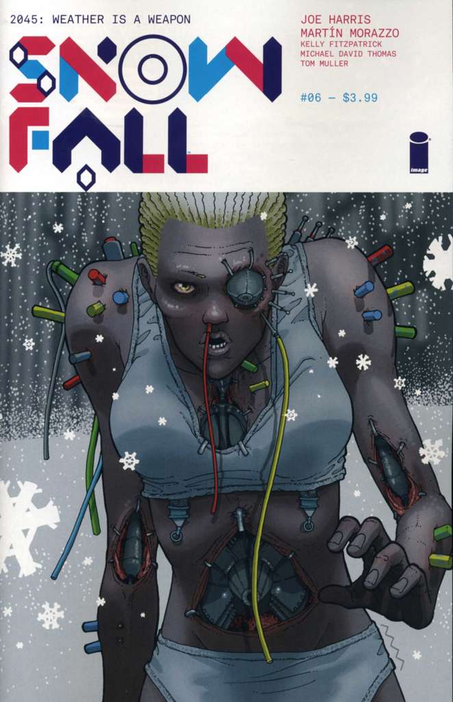 Snowfall #6
