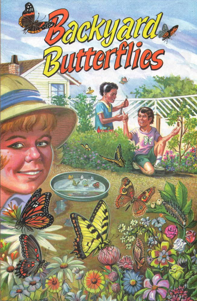 Backyard Butterflies