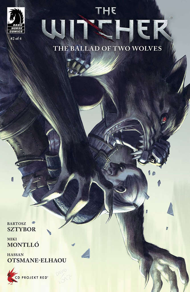 The Witcher: The Ballad of Two Wolves #2 Variation D