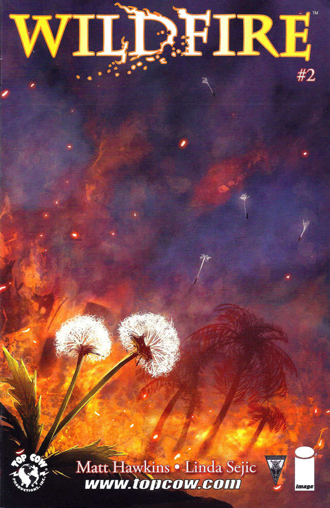 Wildfire #2 Variation B