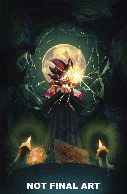 Sonic the Hedgehog: Chasing Shadows