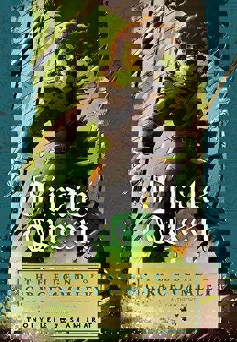 Pirate Queen: The Legend of Grace O’Malley