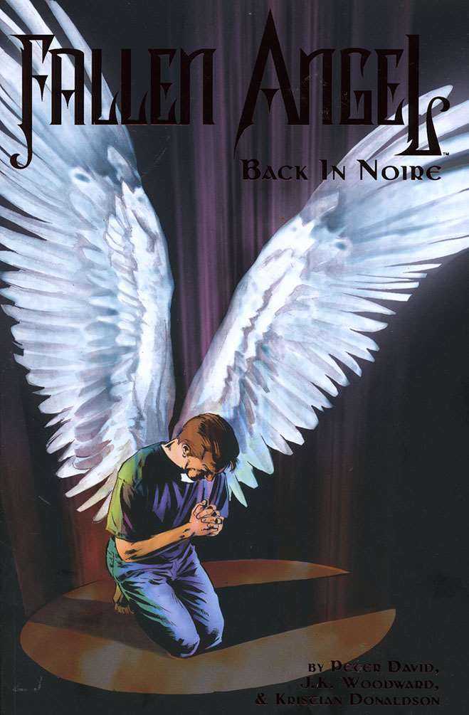 Fallen Angel (IDW) Book #3