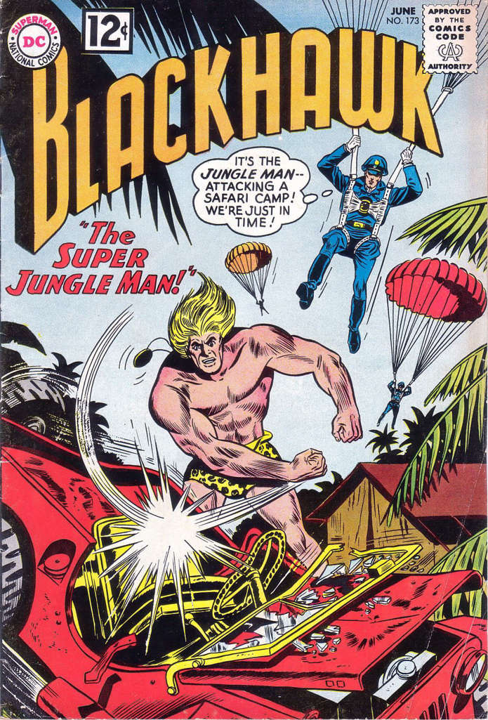 Blackhawk (1st Series) #173