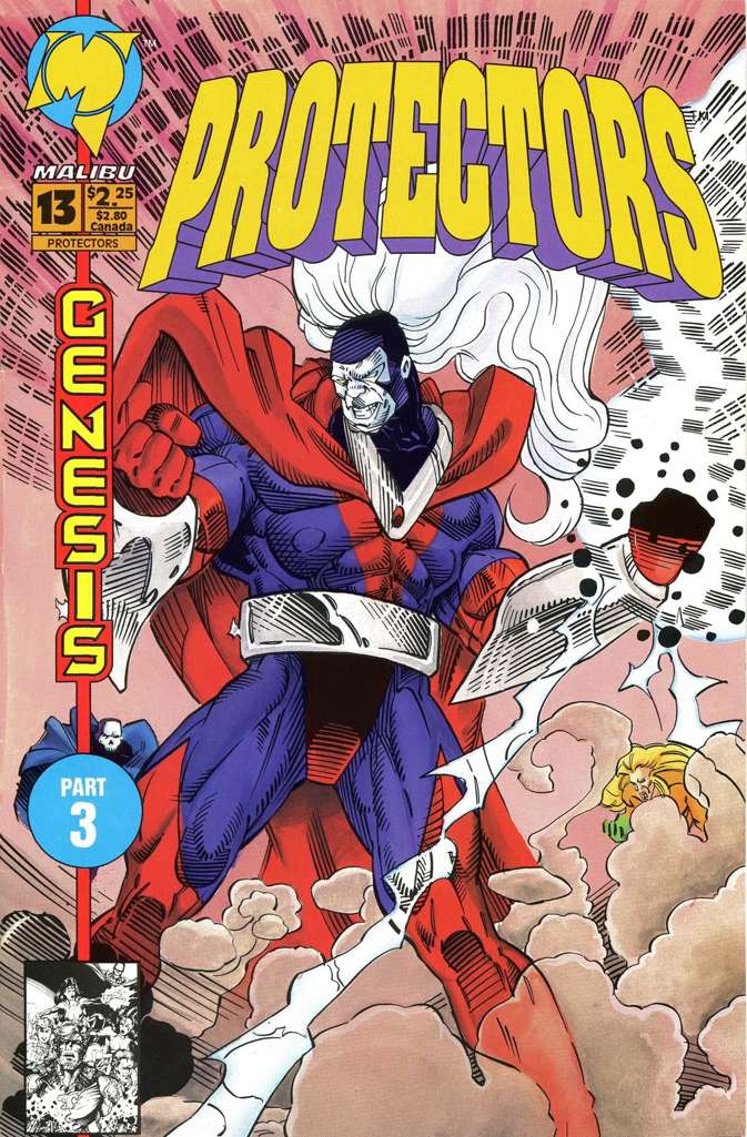 The Protectors (Malibu) #13