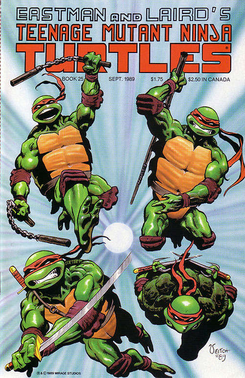 Teenage Mutant Ninja Turtles (1st Series) #25