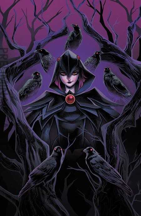 DC’s Quoth the Raven… Whatever
