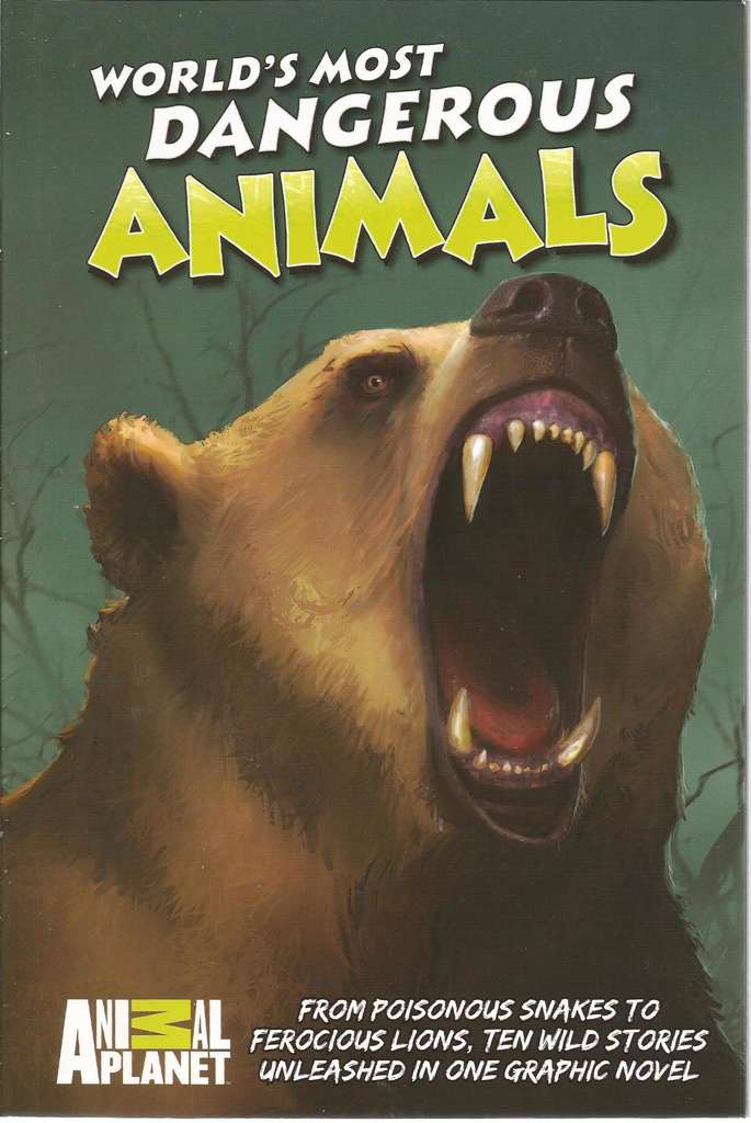 World’s Most Dangerous Animals