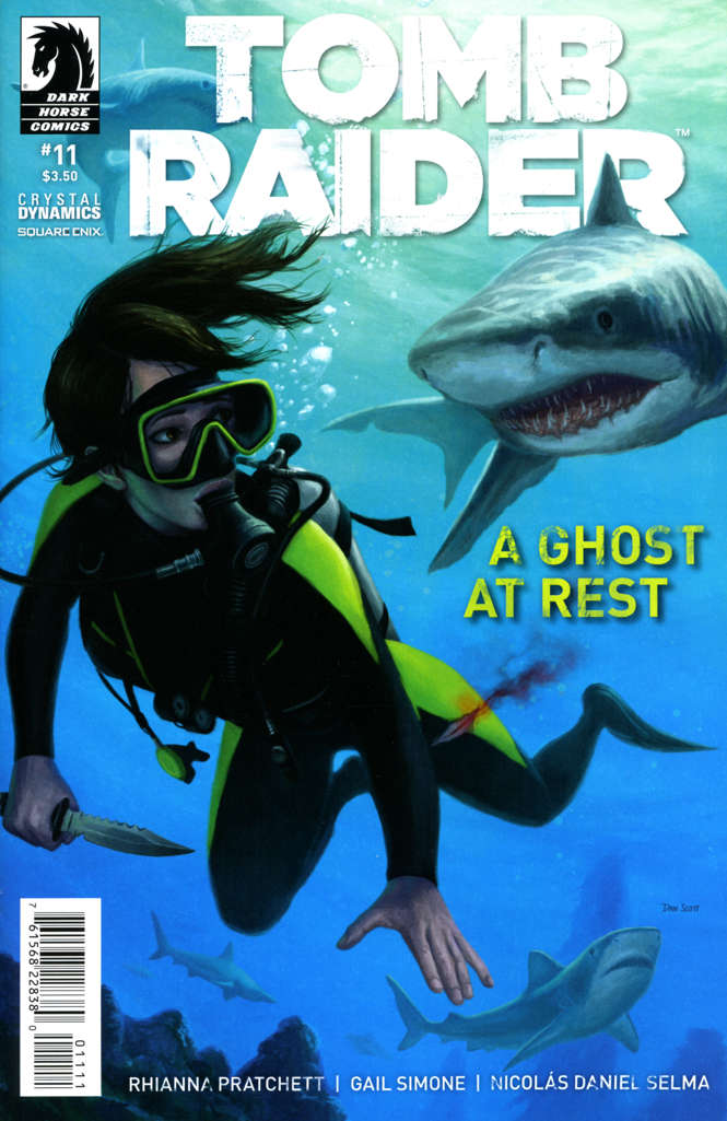 Tomb Raider #11