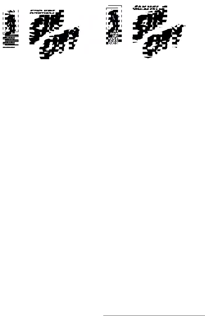 Sin City Special Edition (Frank Miller’s…)