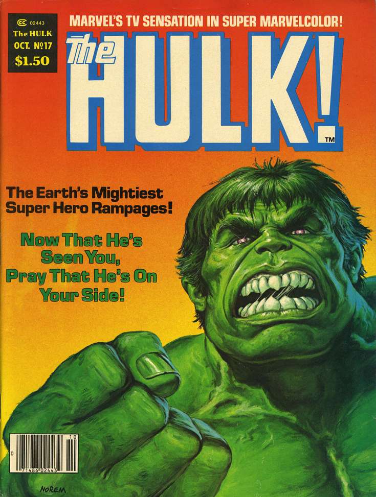 The Hulk #17