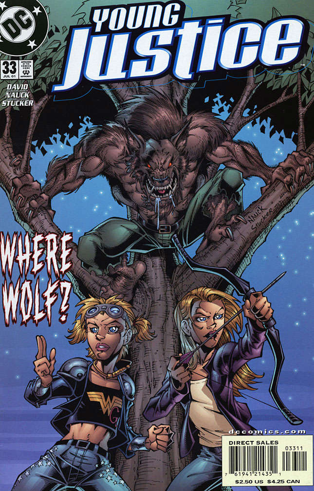 Young Justice #33