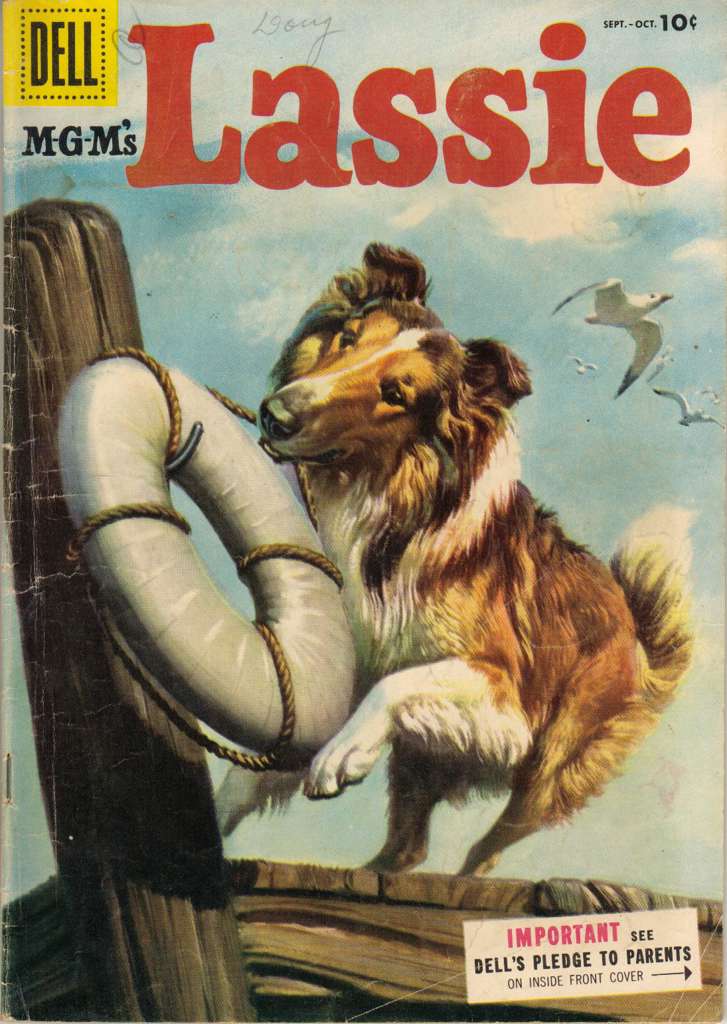 Lassie #24