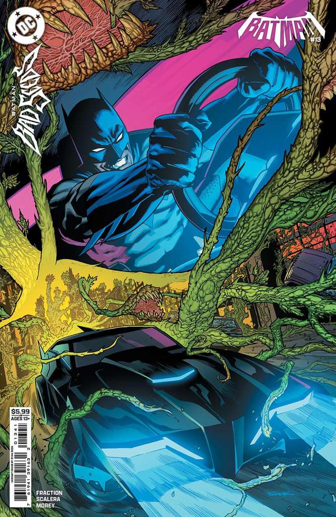 Batman (4th Series) #13 Variation D
