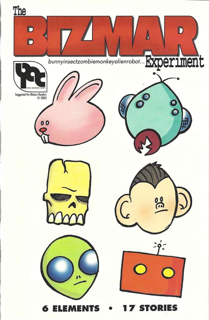 The Bizmar Experiment