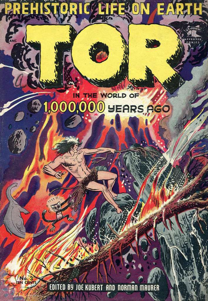 Tor