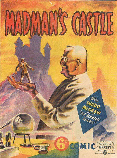 Madman’s Castle