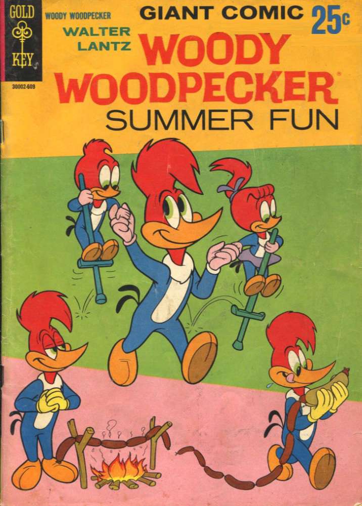 Woody Woodpecker Summer Fun (Walter Lantz)