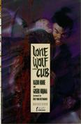 First Graphic Novel Book #22