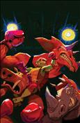 Tales of the Teenage Mutant Ninja Turtles: Coastal Chaos #1 Variation D