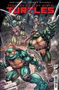 Teenage Mutant Ninja Turtles (6th Series) #13 Variation A