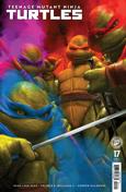 Teenage Mutant Ninja Turtles (6th Series) #17 Variation C
