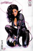 Absolute Catwoman #1 Variation D