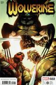 Wolverine (7th Series) #22