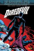 100% Marvel: Daredevil #22