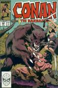 Conan the Barbarian #224