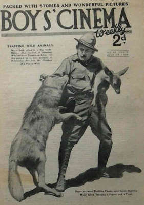 33
